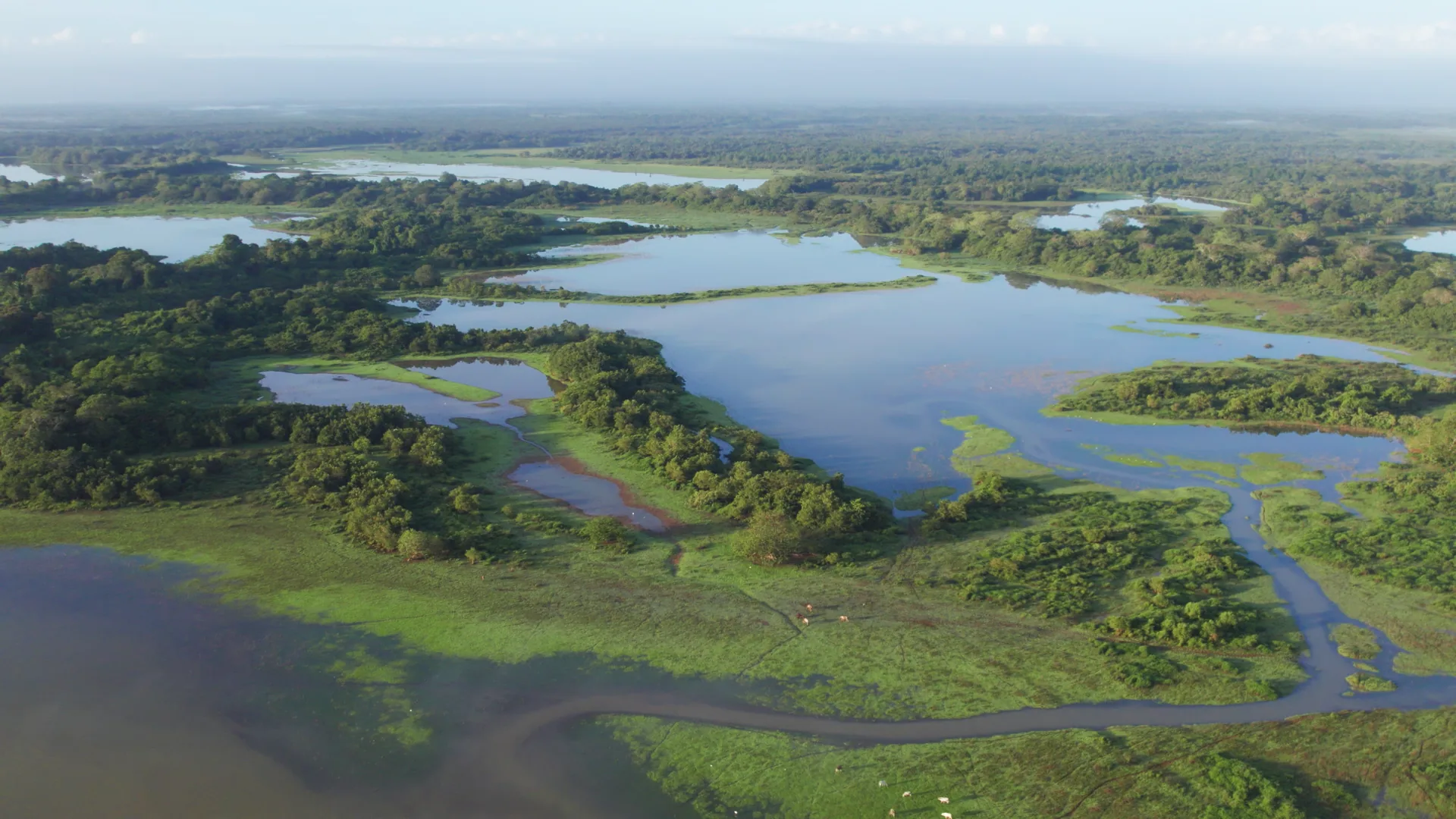Caño Negro