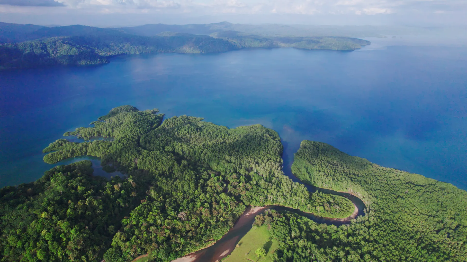 Puerto Jimenez area