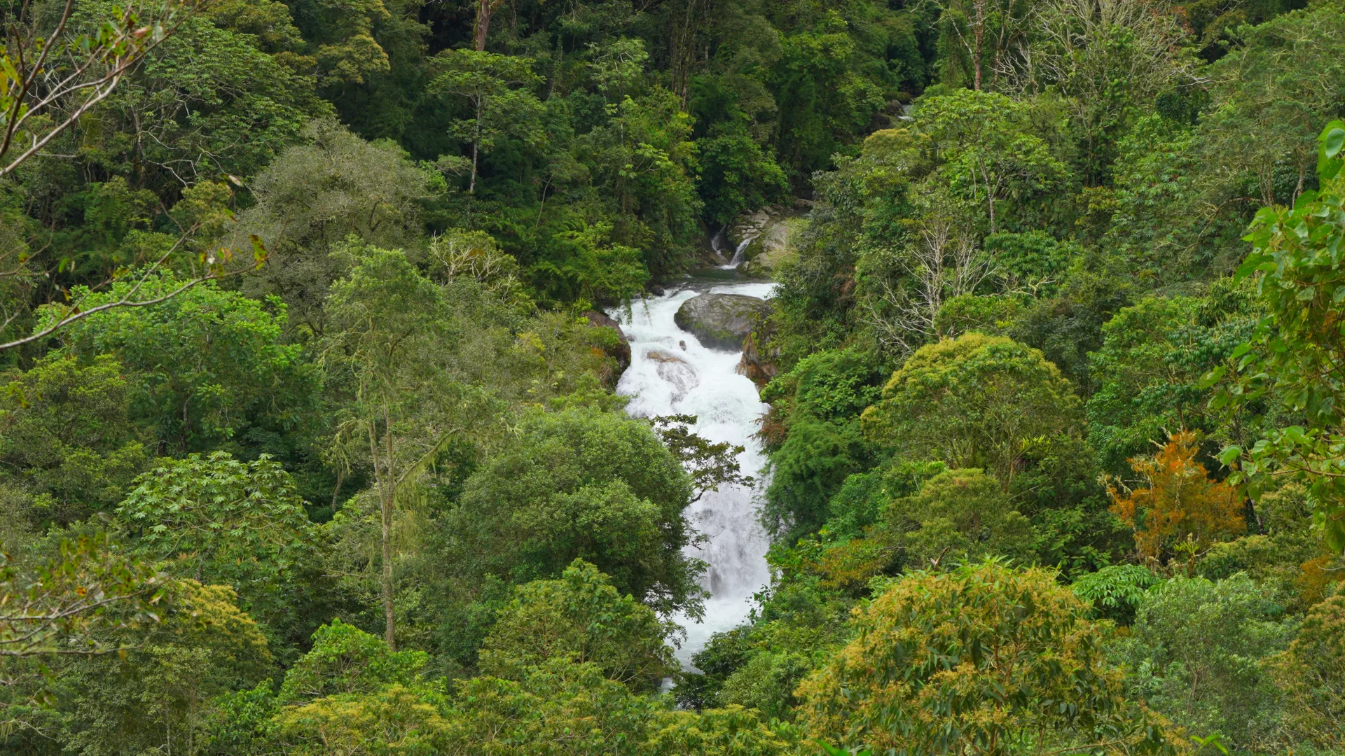 San Gerardo de Rivas and Chirripo Valley